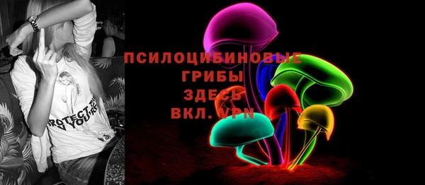 ешки Алексин