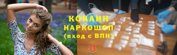 ешки Алексин